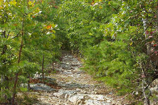 Old Indian Grave Ridge Trail hiking path, Hikes, Fishtrap Village Rental Cabins
